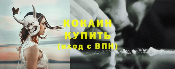 a pvp Каменногорск