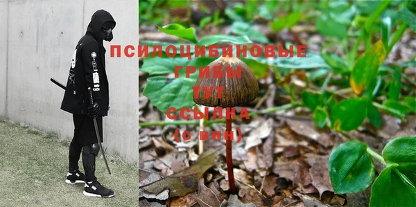 мдпв Каменск-Шахтинский