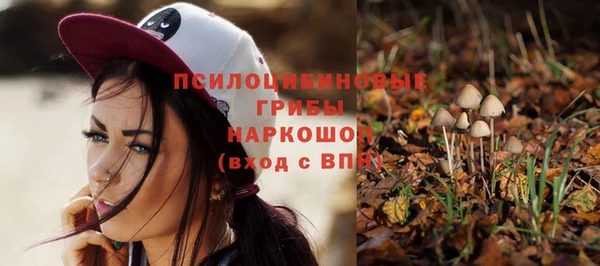 марки nbome Каменка