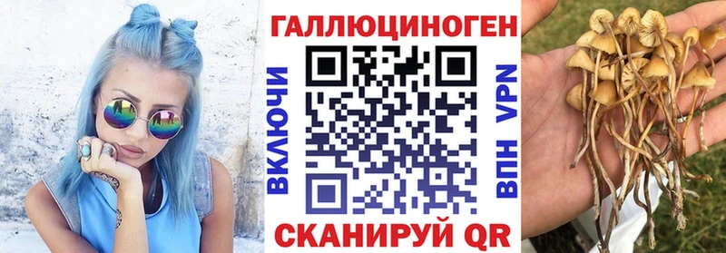 Купить  Калининск  Галлюциногенные грибы мухоморы 