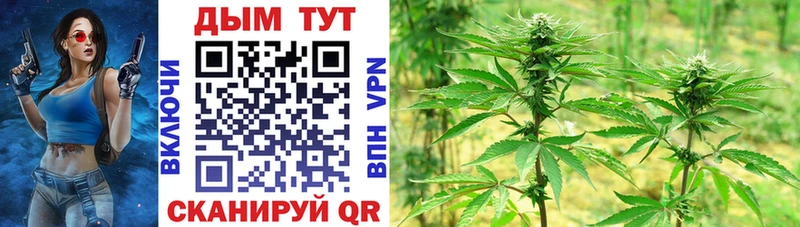 Бошки марихуана планчик  Купить где  Калининск 